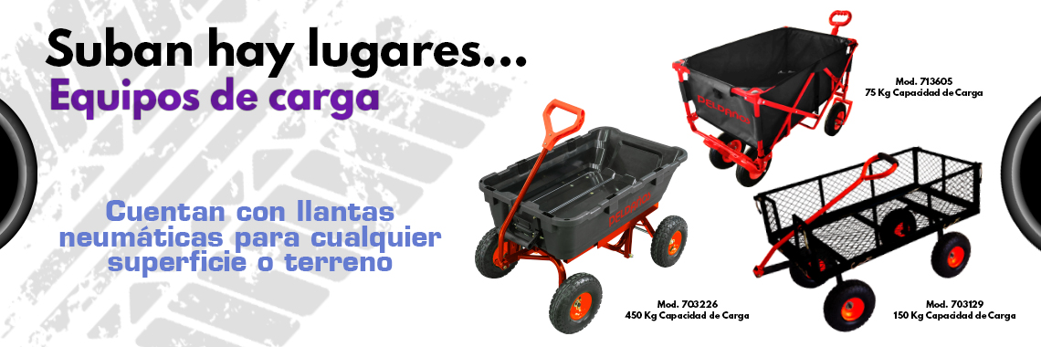 Termos y Hieleras